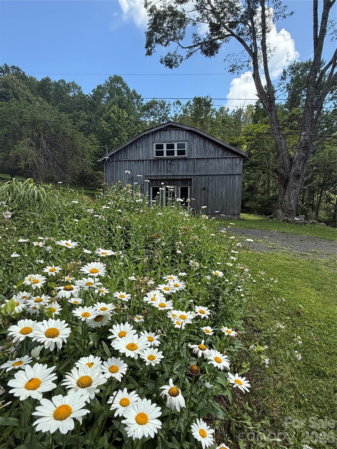 1108 Pine Root Branch Road