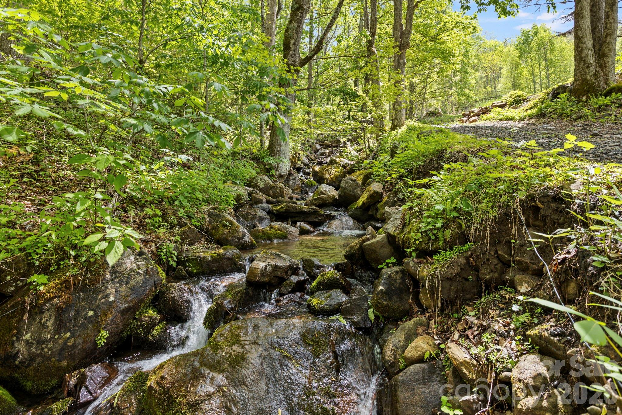 1108 Pine Root Branch Road