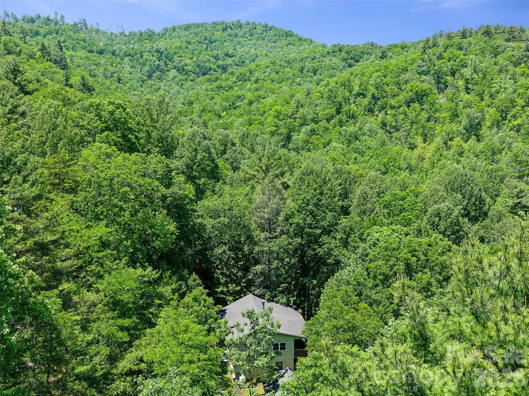 142 Wildflower Road