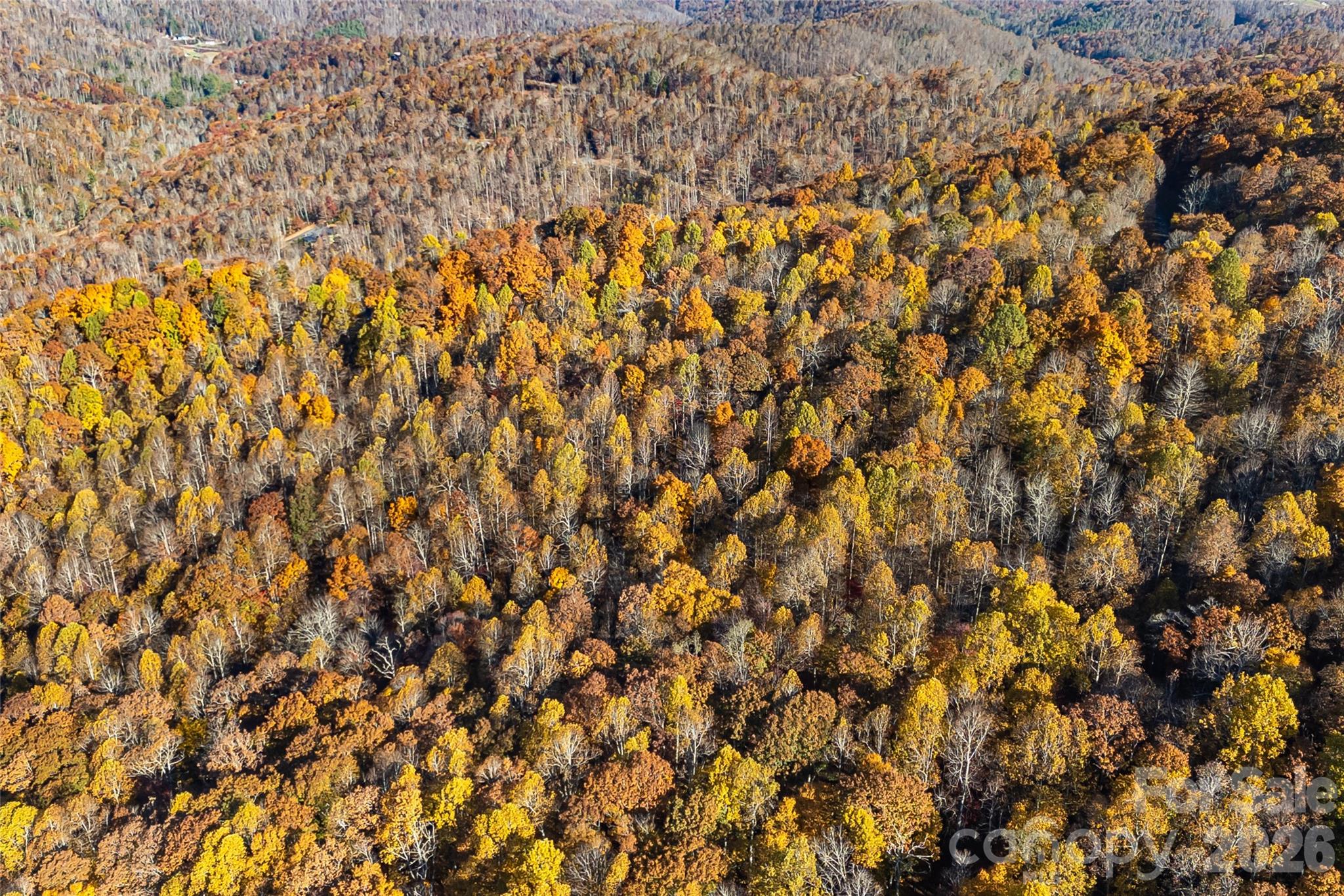 LOT 103 Alderfly Court