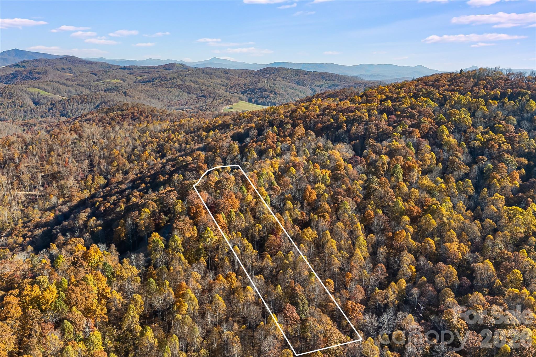 LOT 103 Alderfly Court
