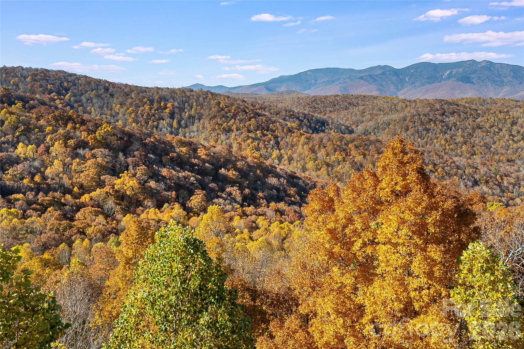 LOT 103 Alderfly Court
