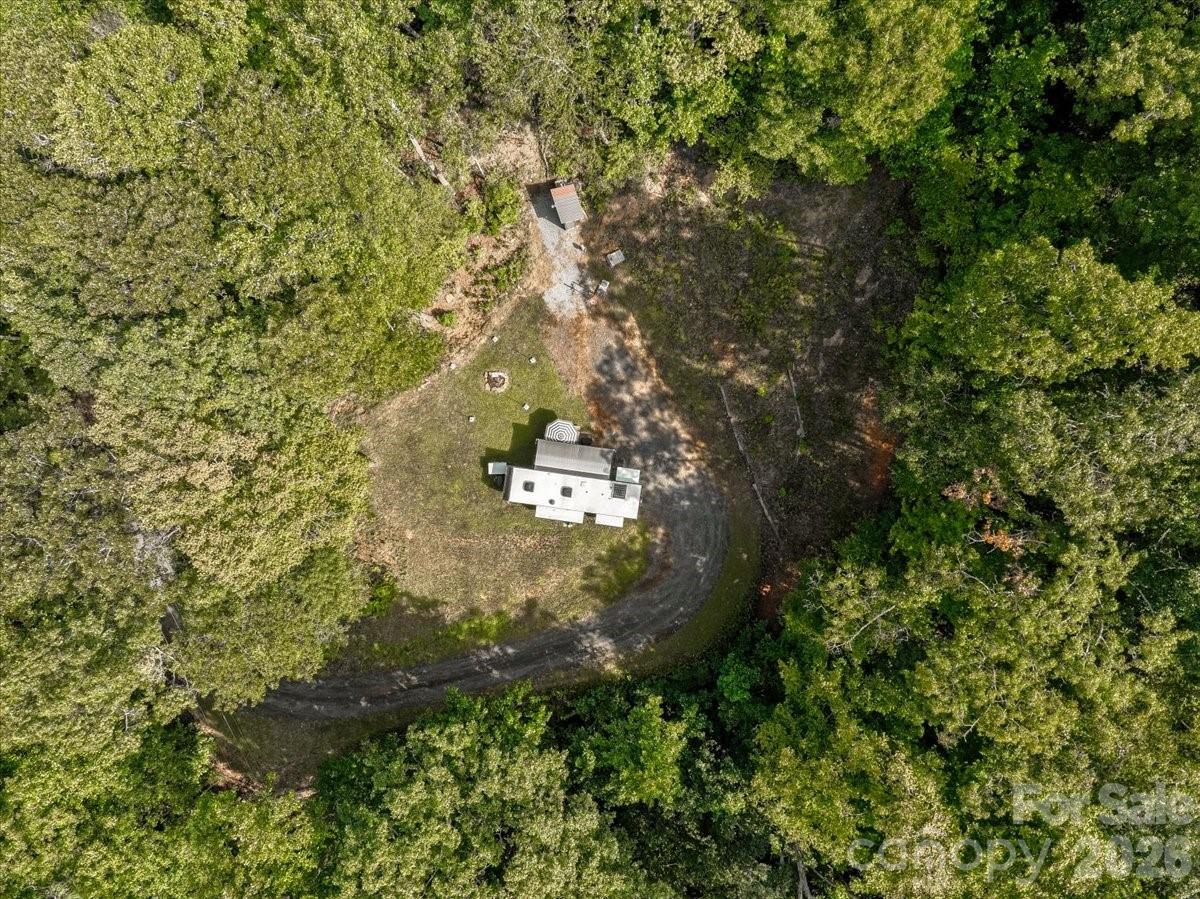 Aerial view of a wooded lot with a clearing, curved driveway, and small structure.