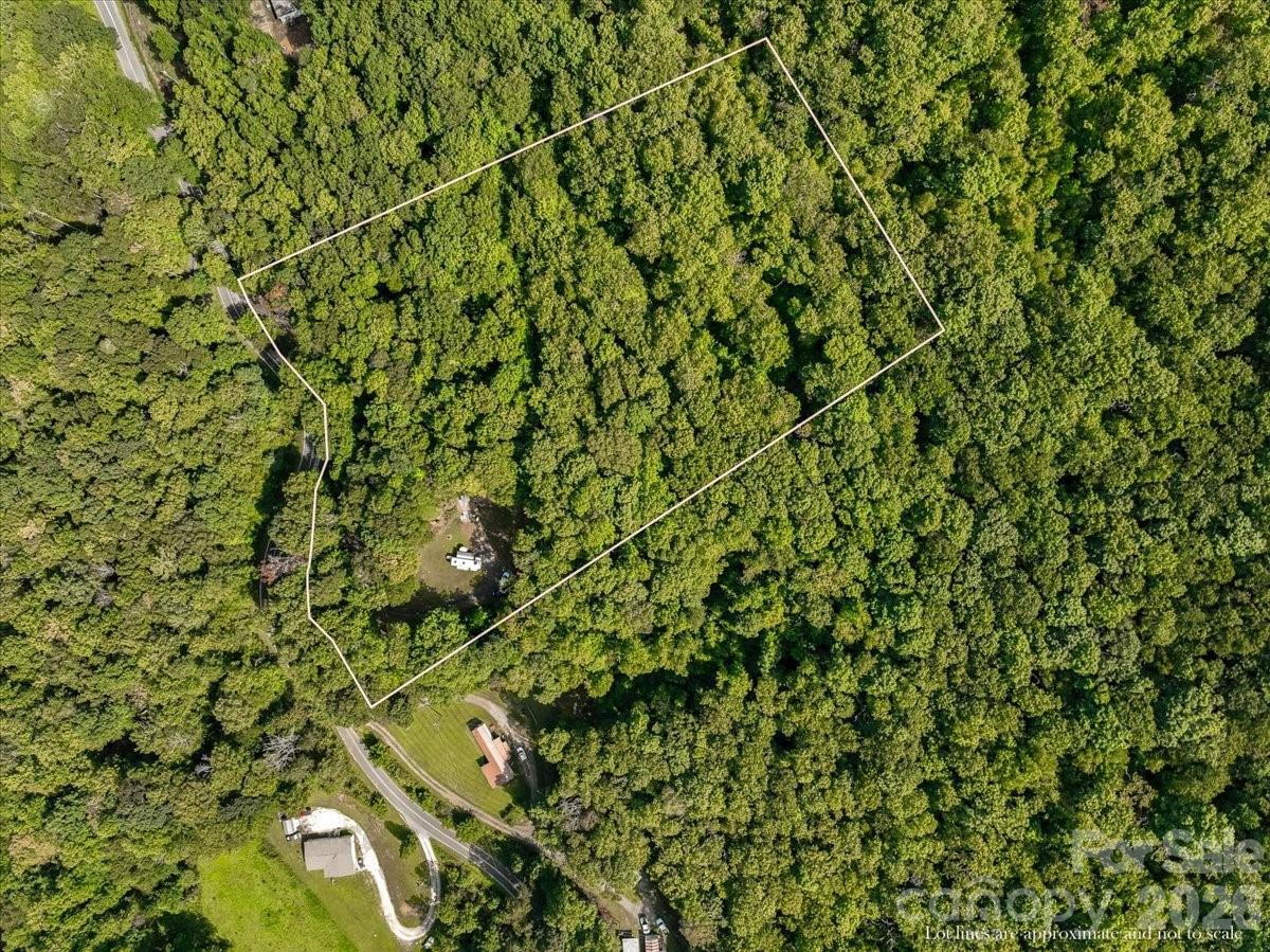 Aerial view of a wooded lot outlined in white, with a small clearing and nearby roads.