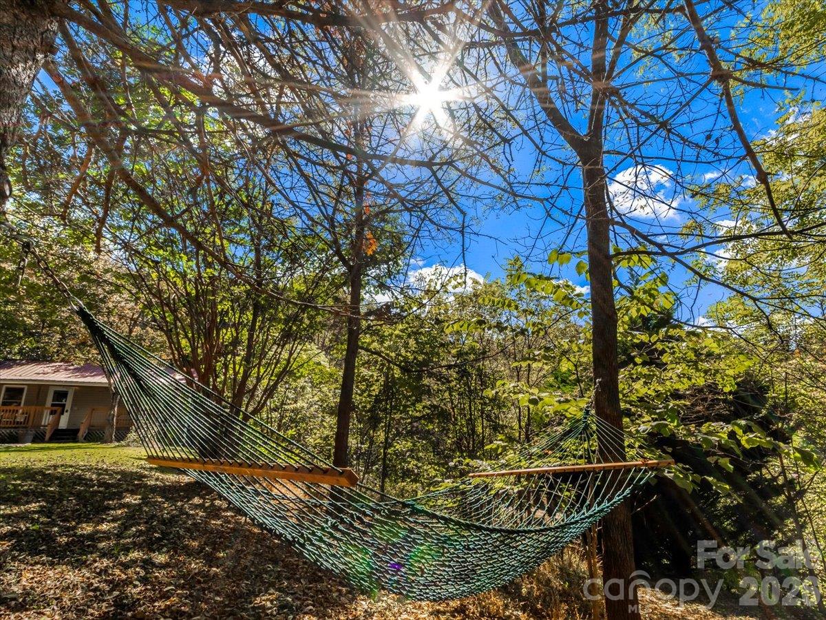 Wooded backyard with two hammocks beneath mature trees and a small cabin nearby.