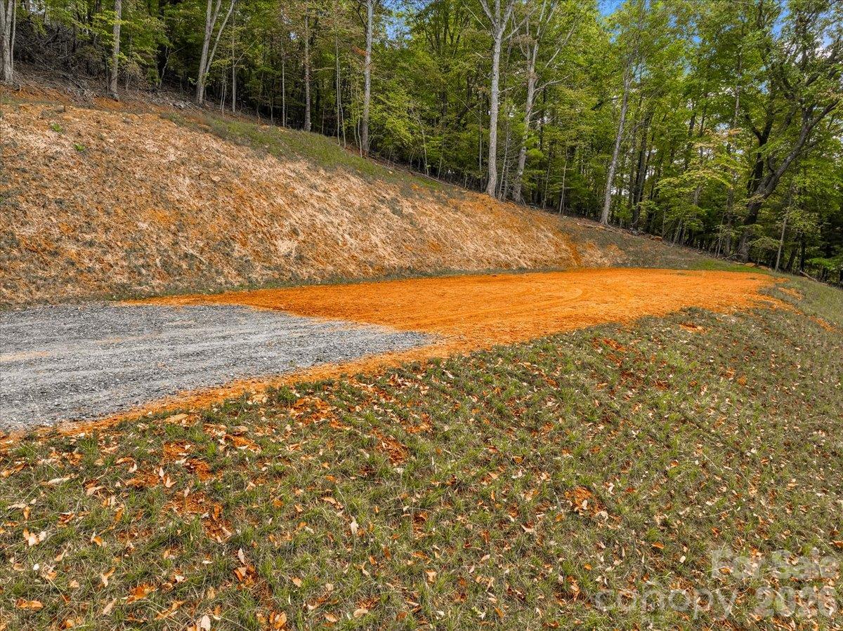 TBD Poplar Trail