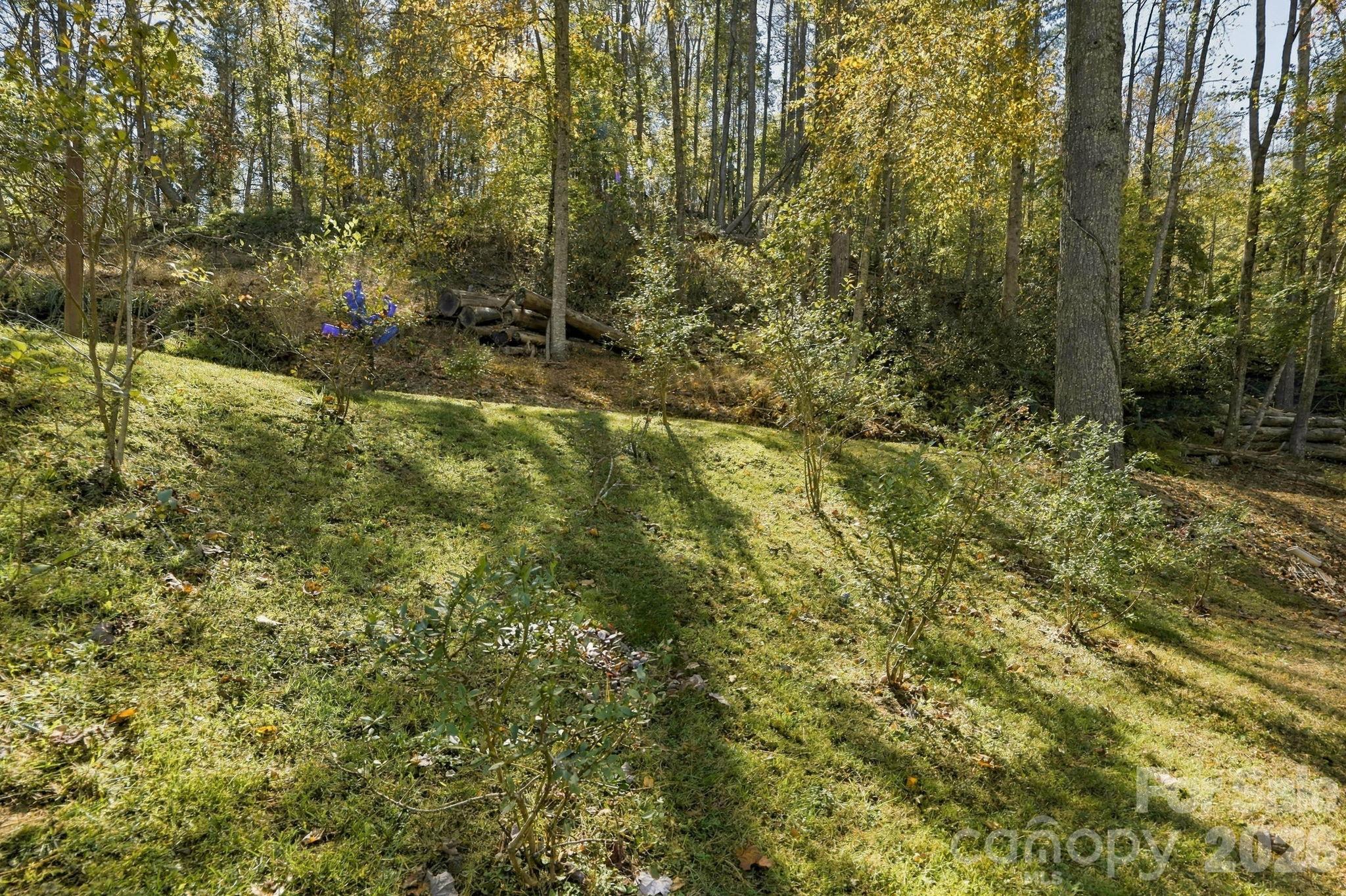 37 White Pine Lane