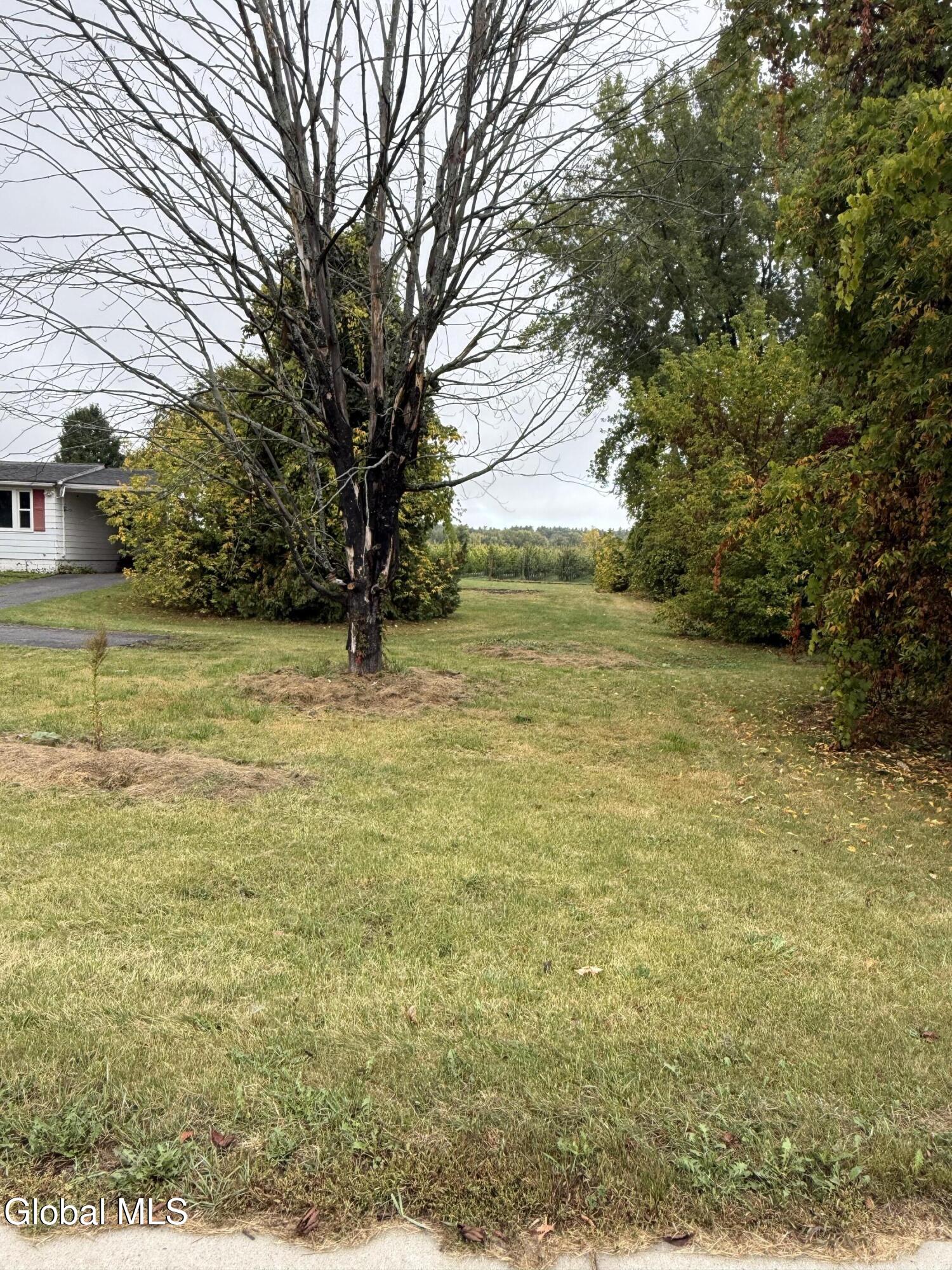 29 Ferry Road