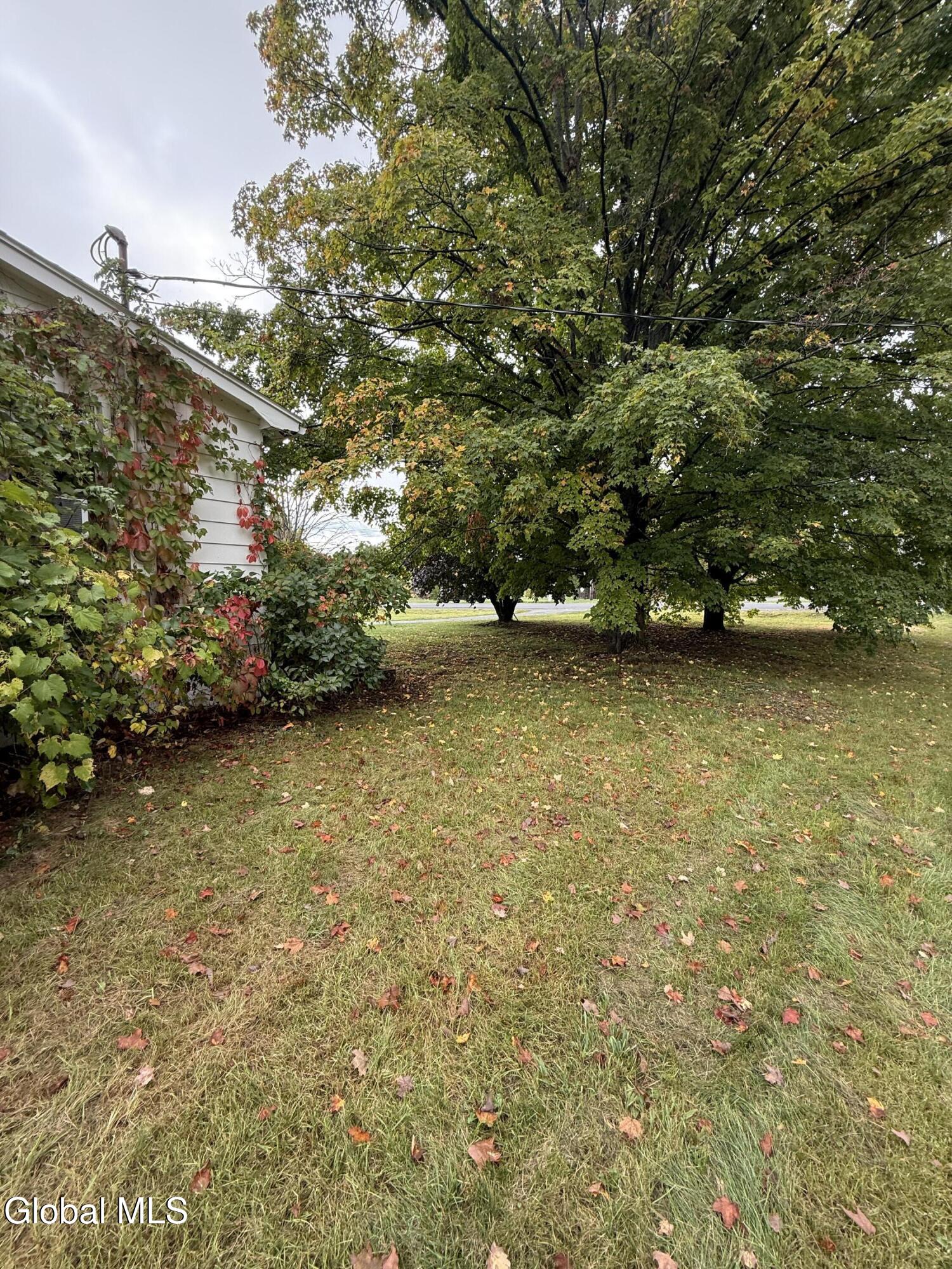 29 Ferry Road