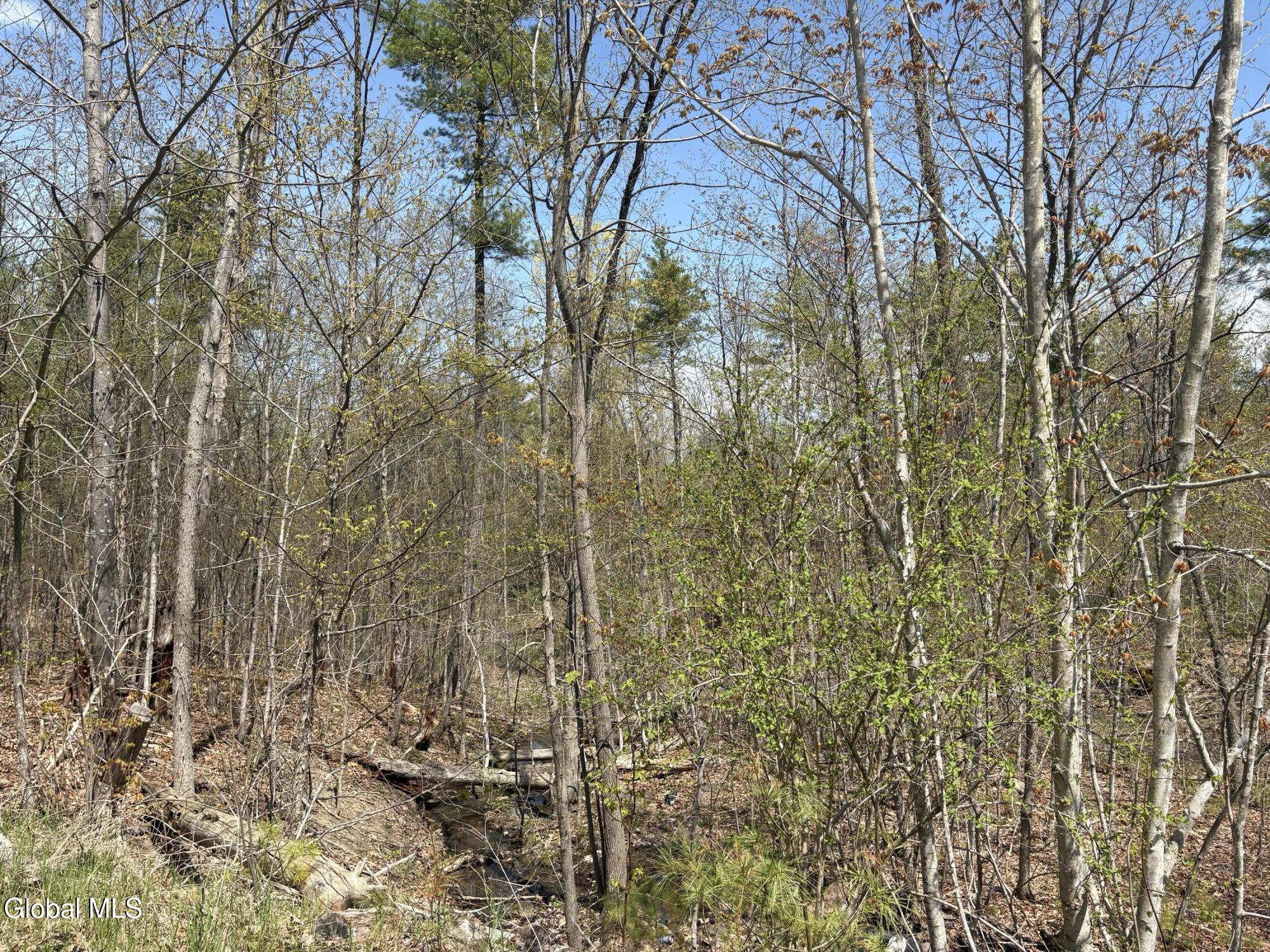 1310 Lower Road