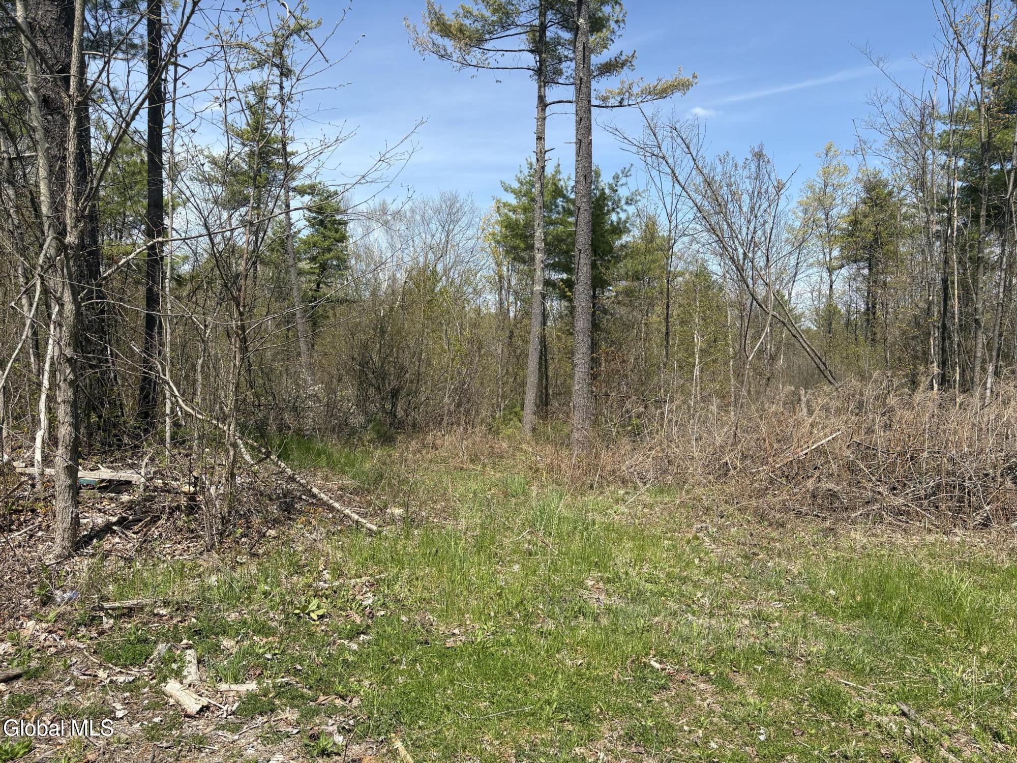 1310 Lower Road