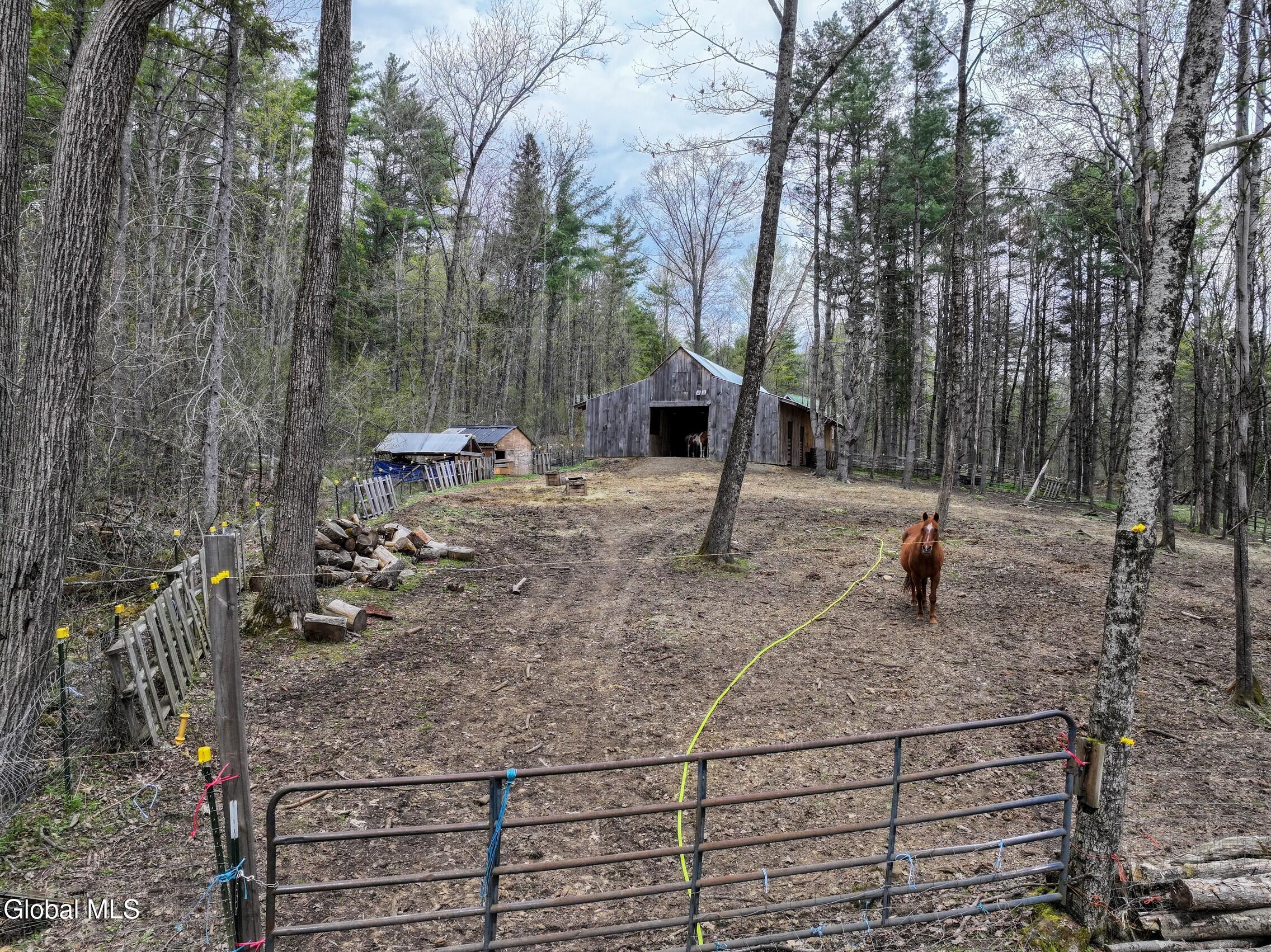 631 Hogback Road