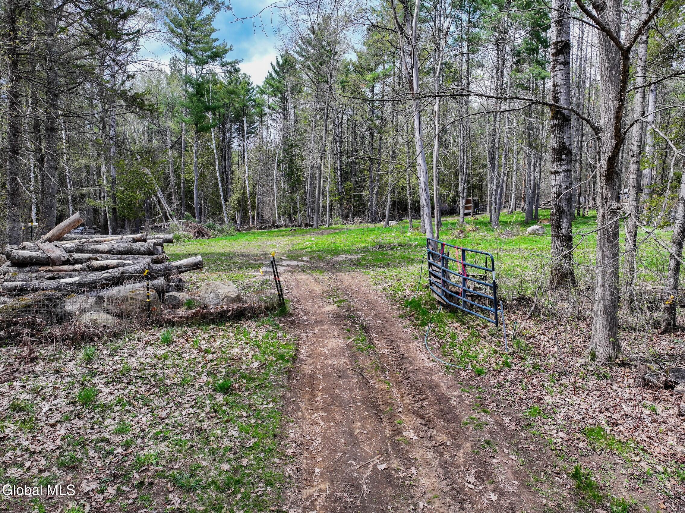 631 Hogback Road