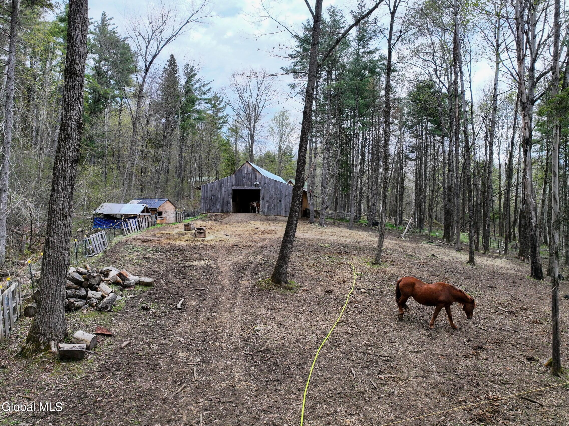 631 Hogback Road