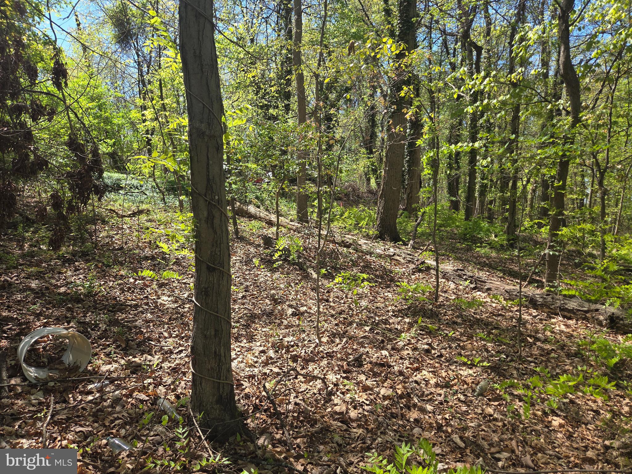 RIVERDALE ROAD