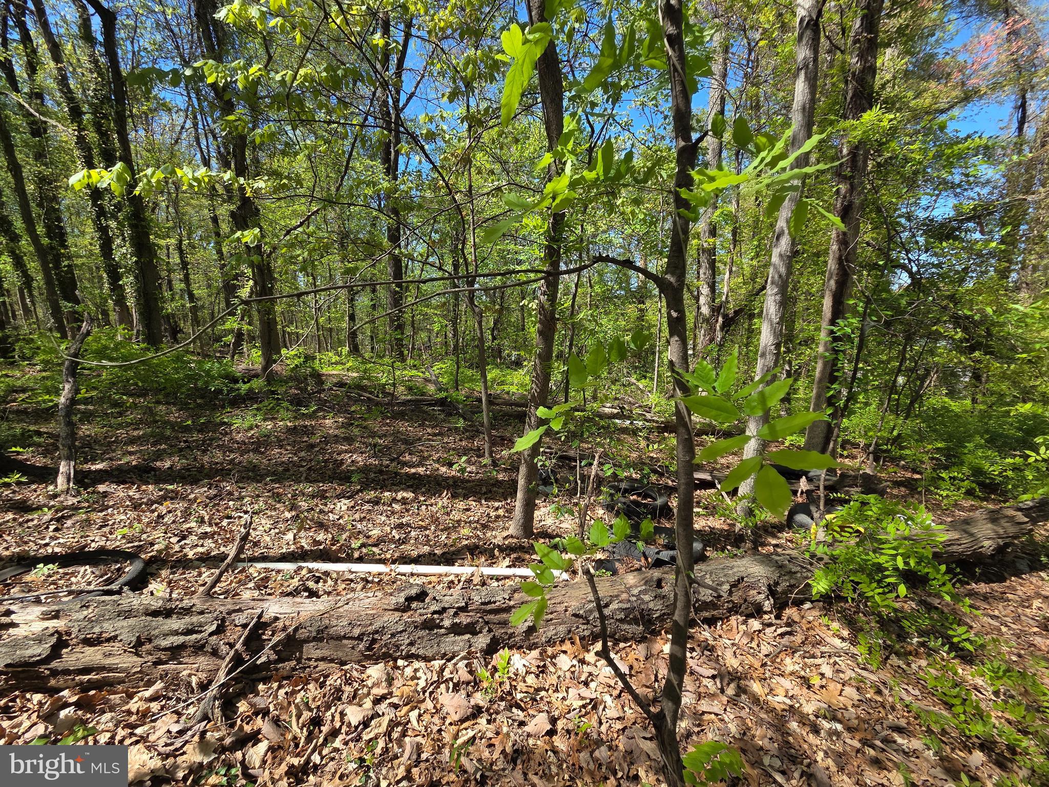 RIVERDALE ROAD