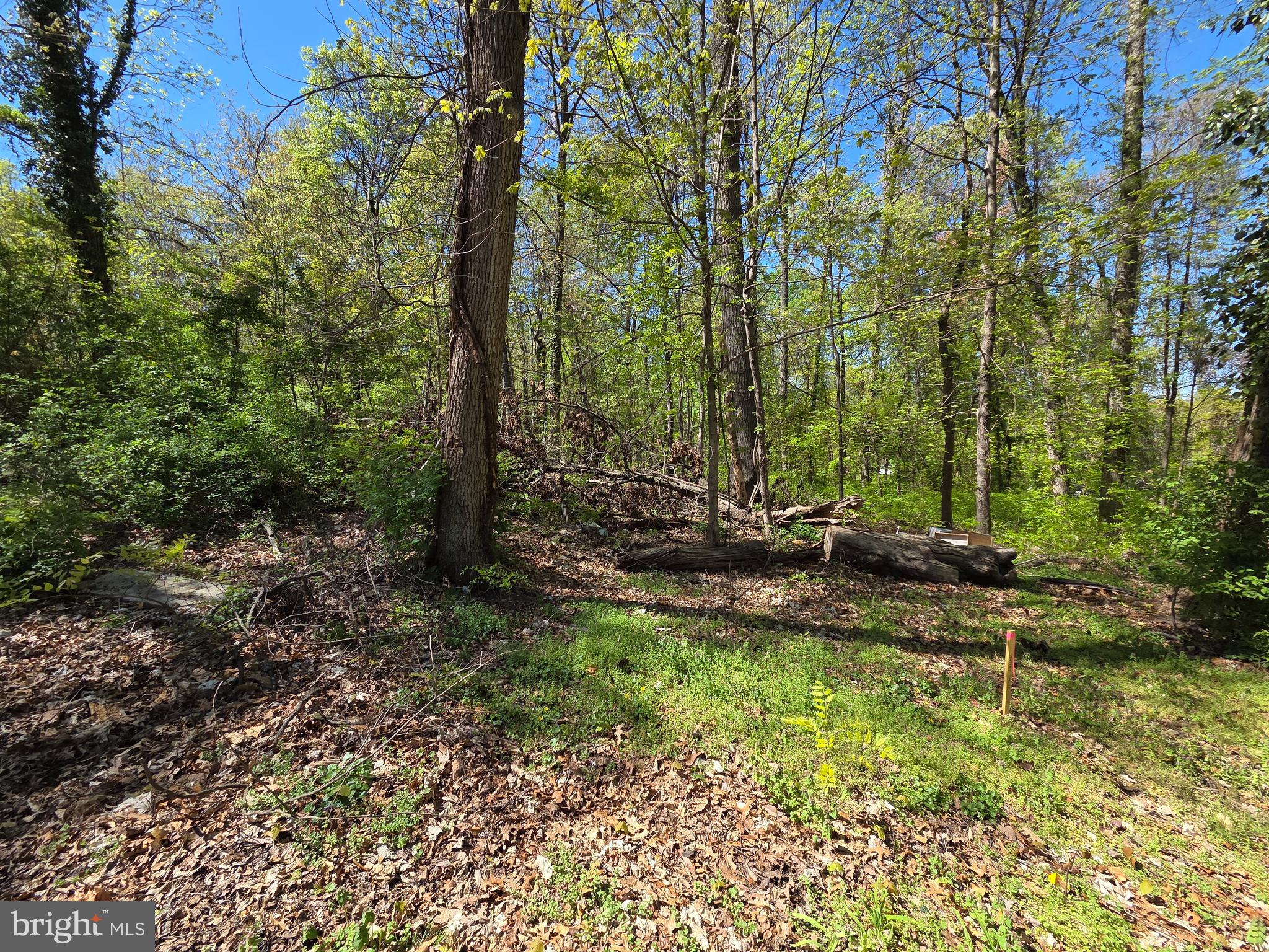RIVERDALE ROAD