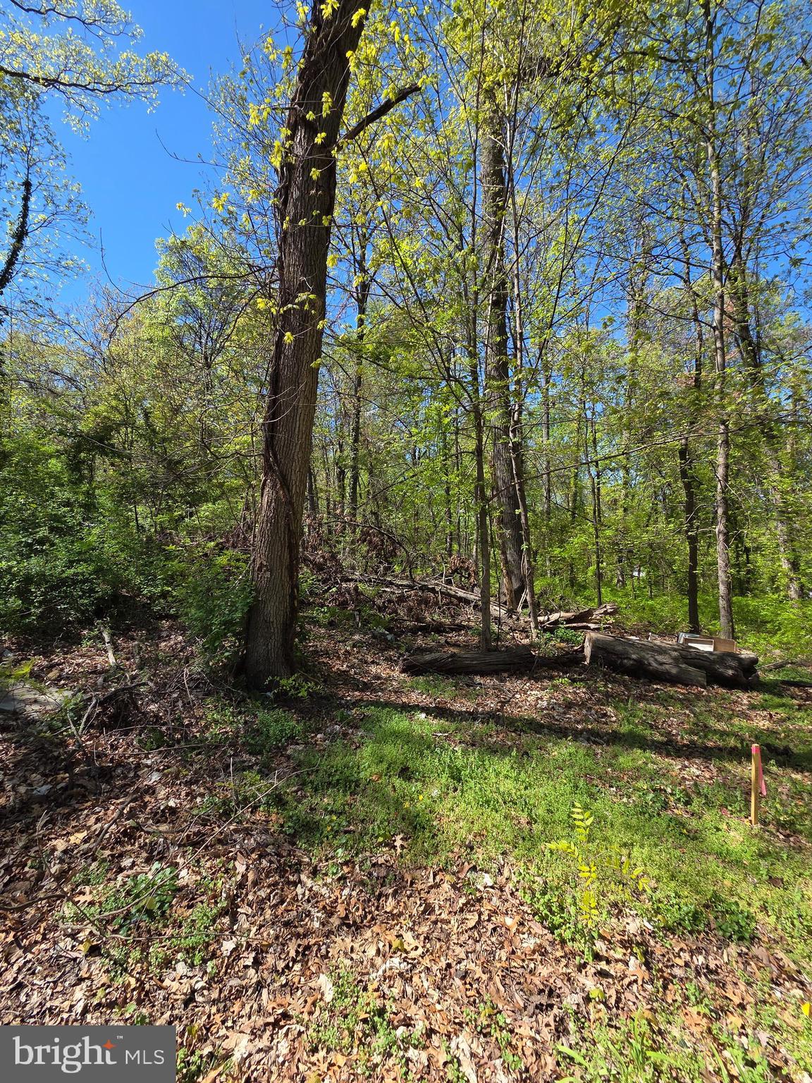 RIVERDALE ROAD
