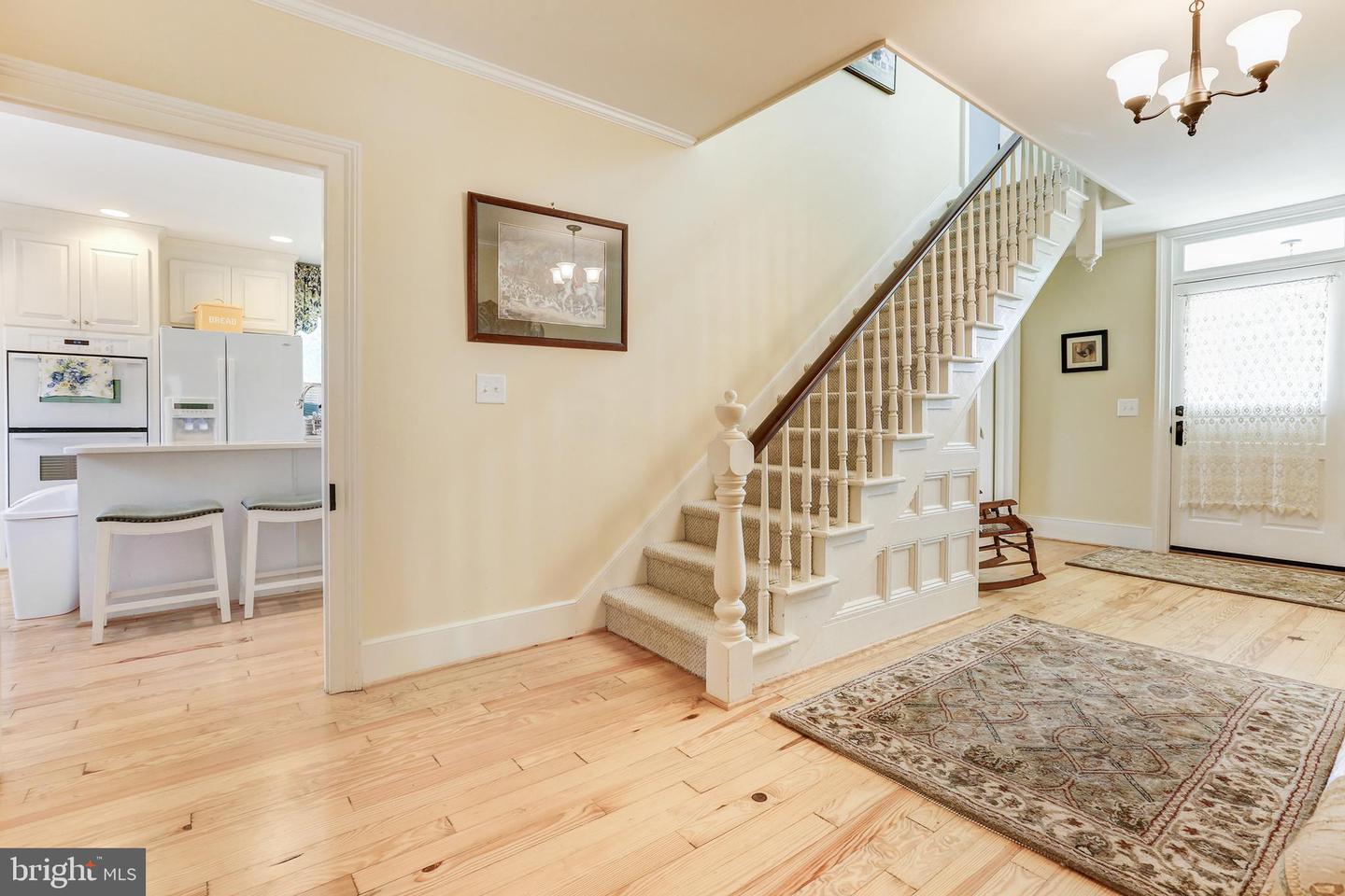 73 Louisa Ave