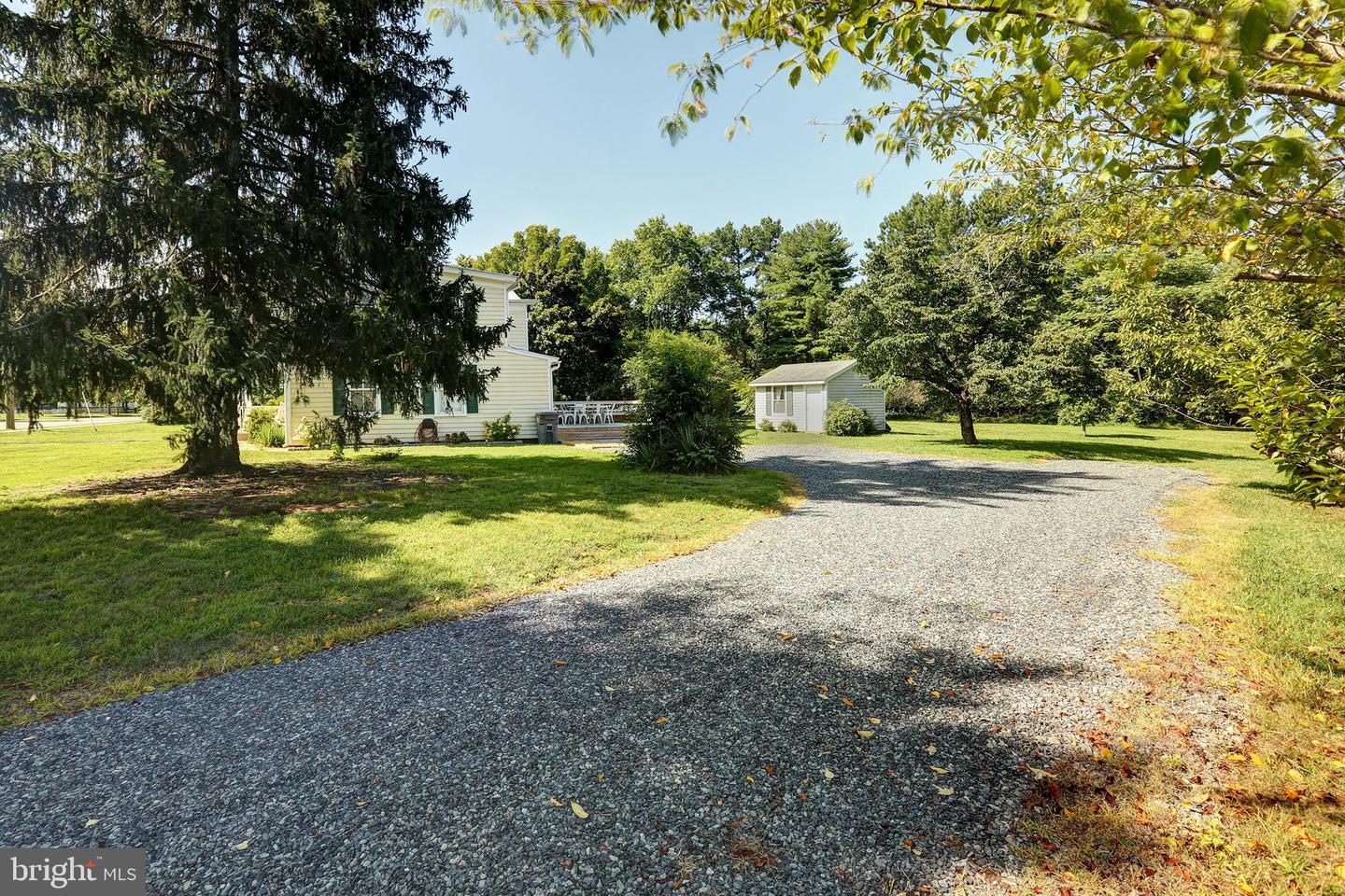 73 Louisa Ave