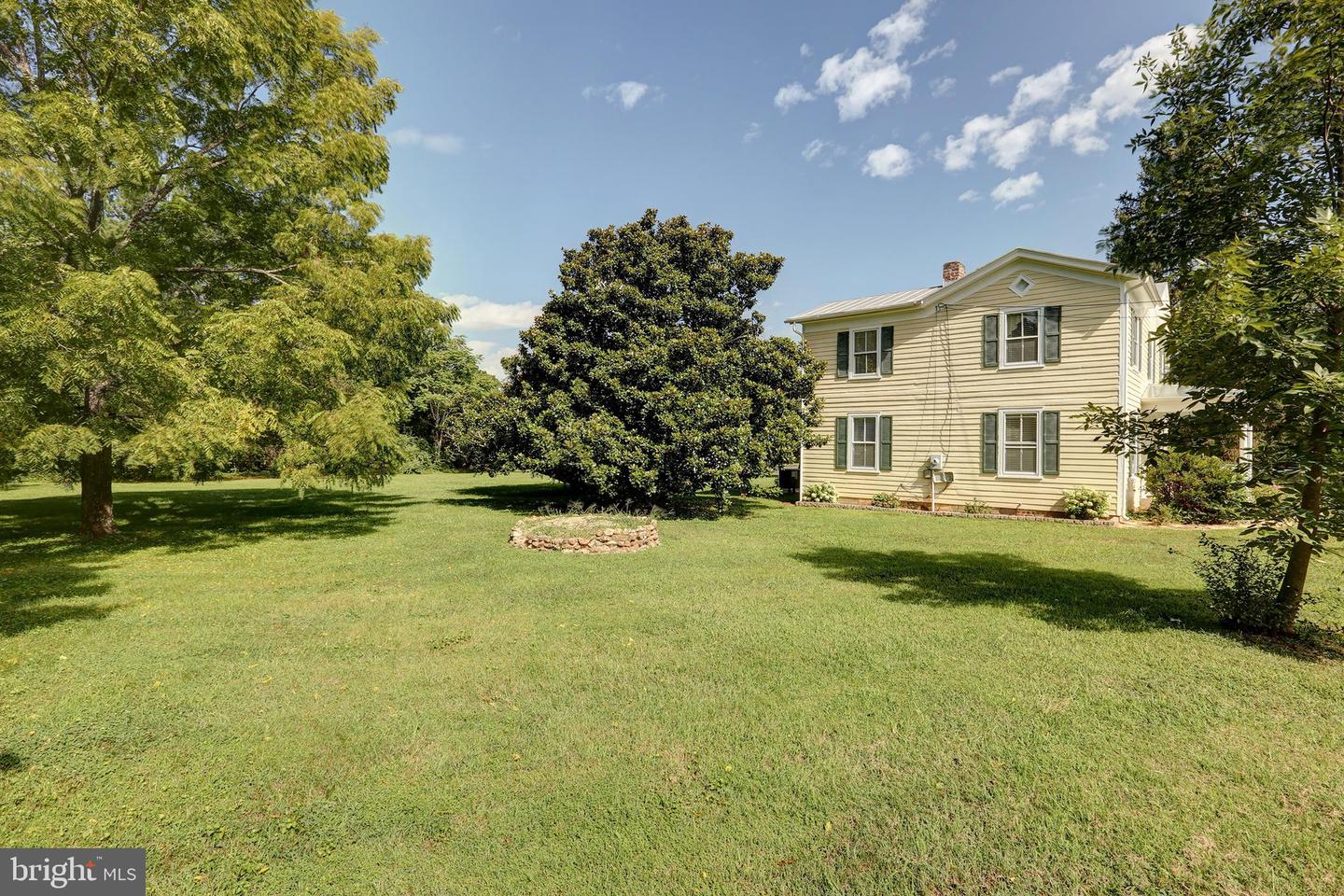 73 Louisa Ave