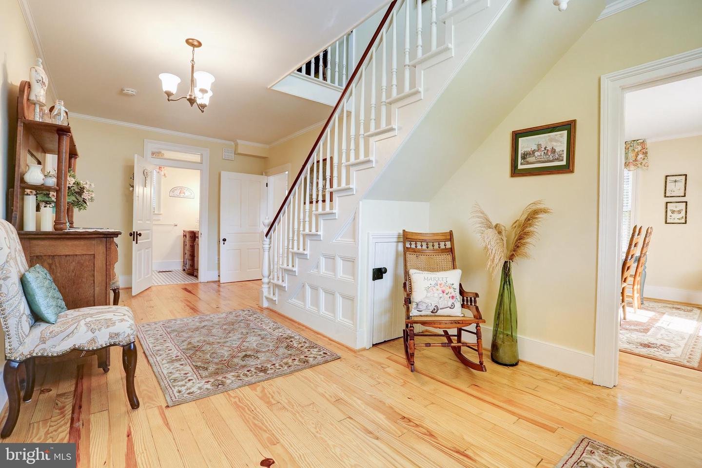 73 Louisa Ave
