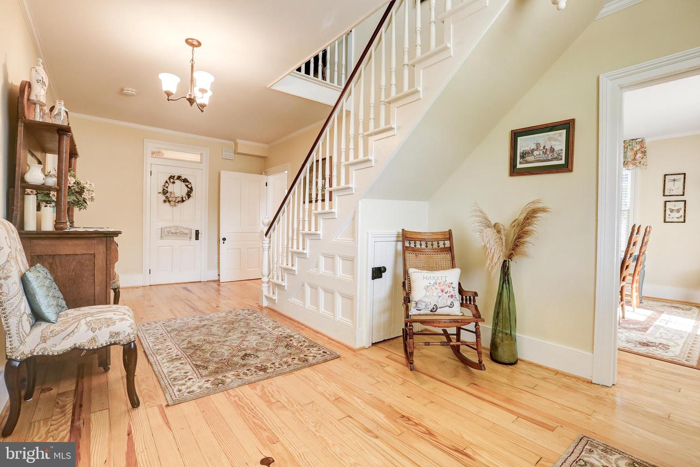 73 Louisa Ave