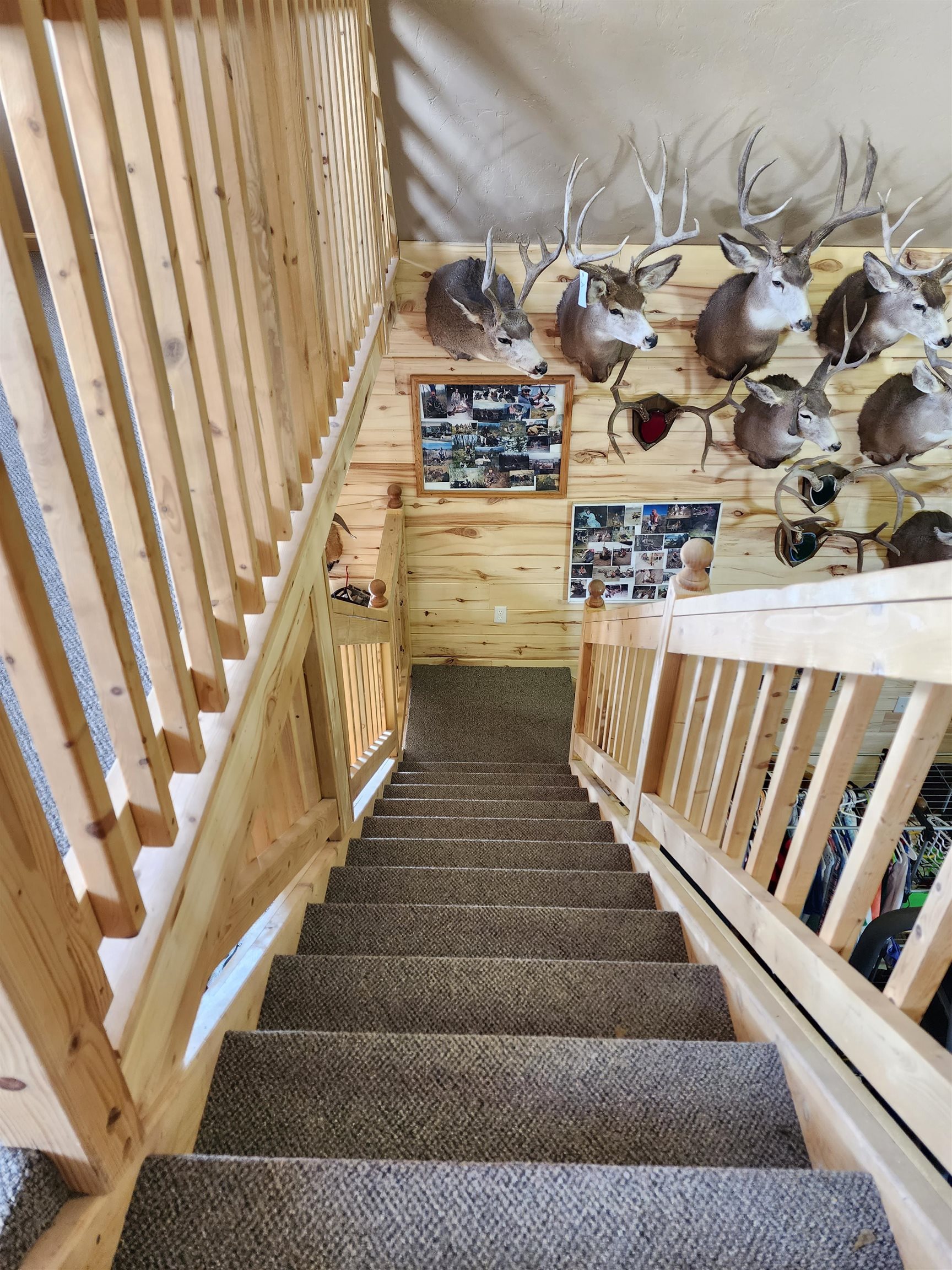 1595 County Road 204