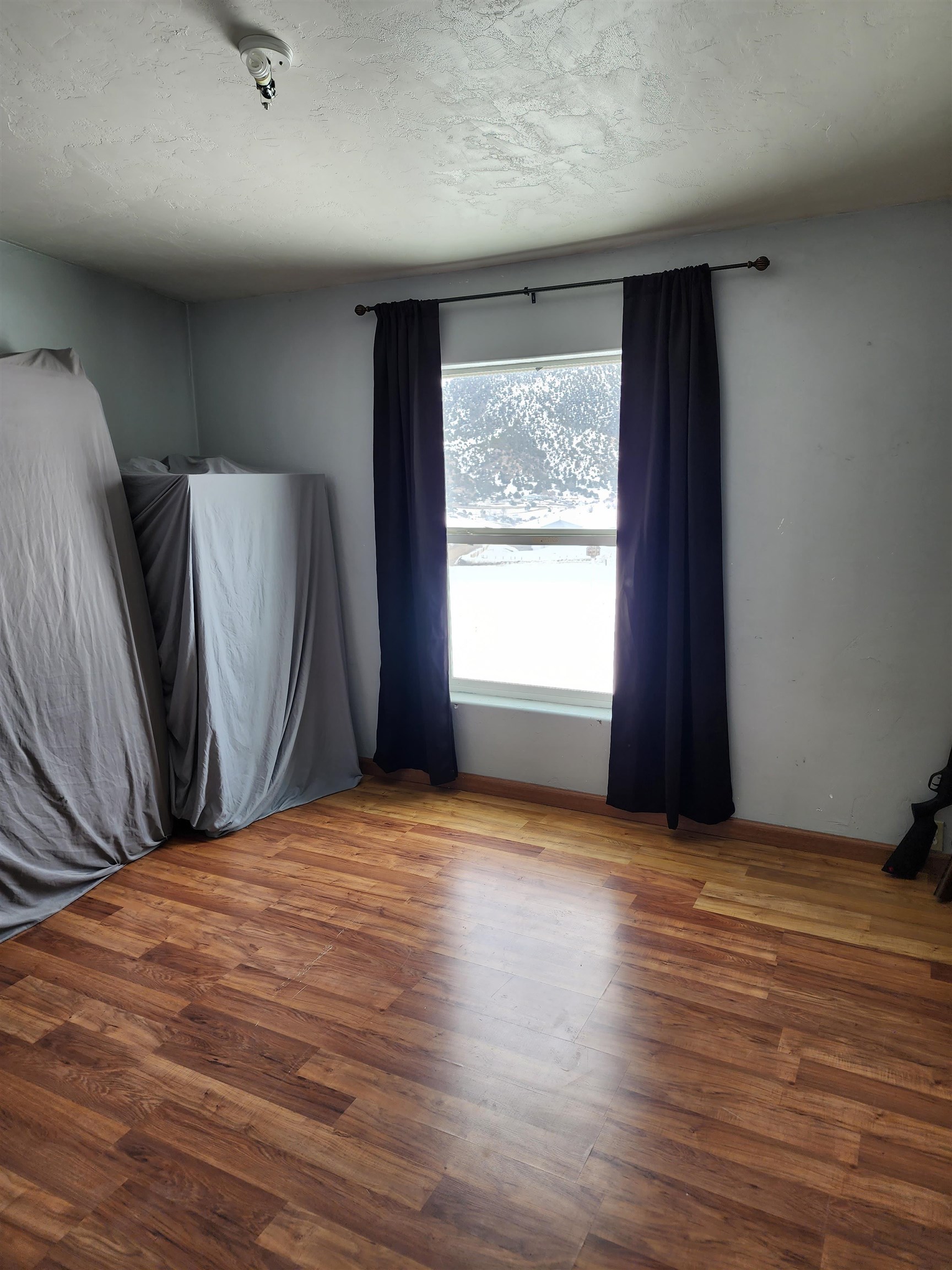 1595 County Road 204