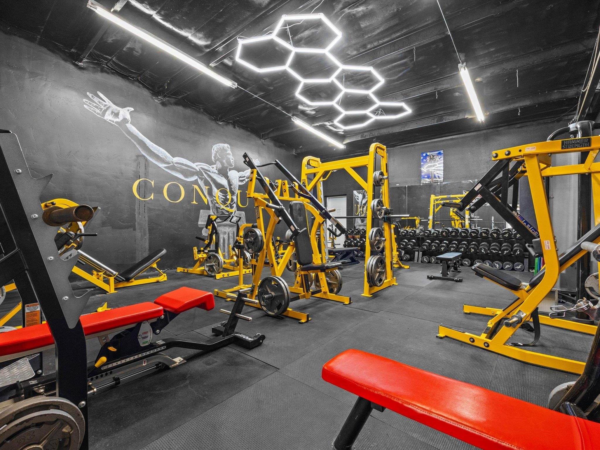 2923 North Avenue Unit: 8B