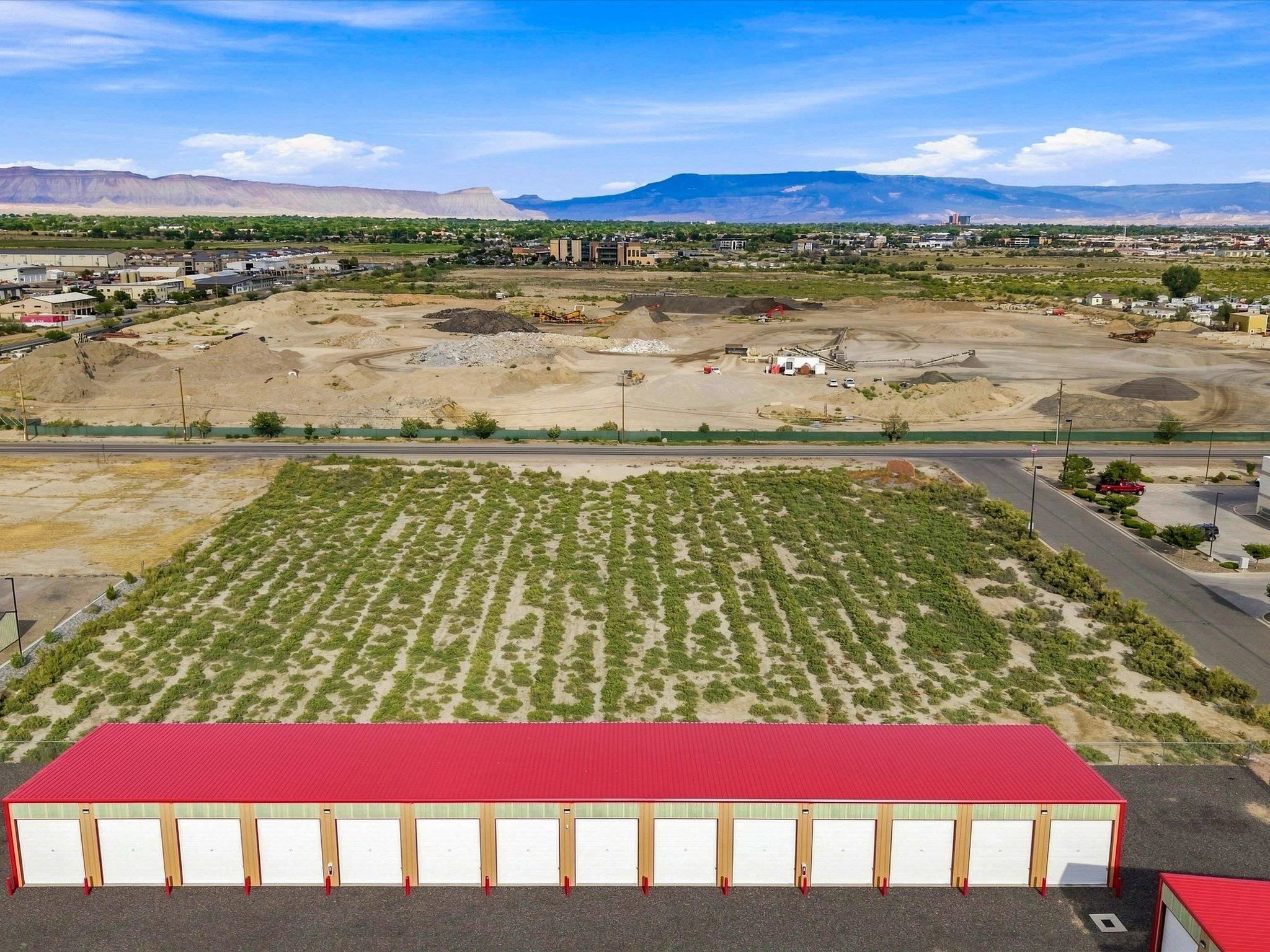 2298 Tall Grass