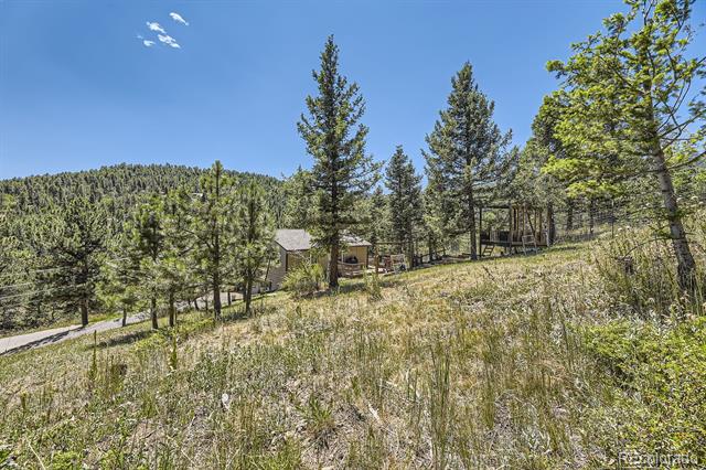 10251 Blue Sky Trail