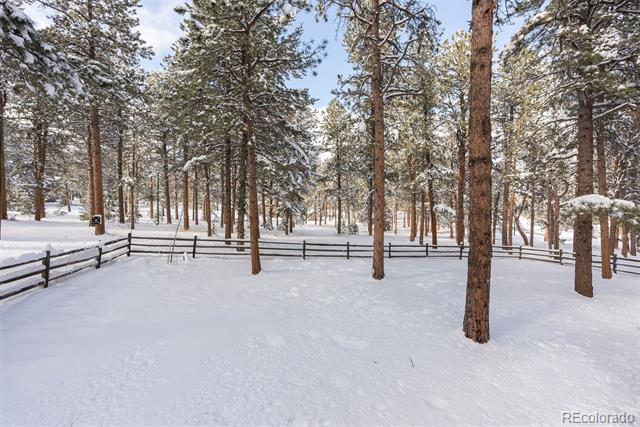 27837 Whirlaway Trail