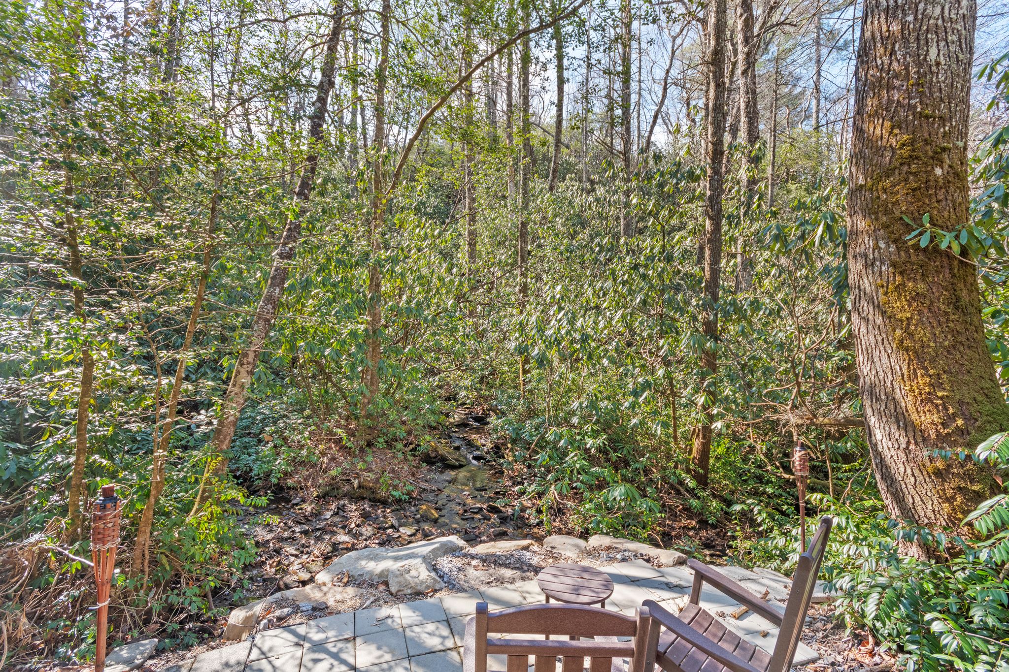 39 Pine Forest Court