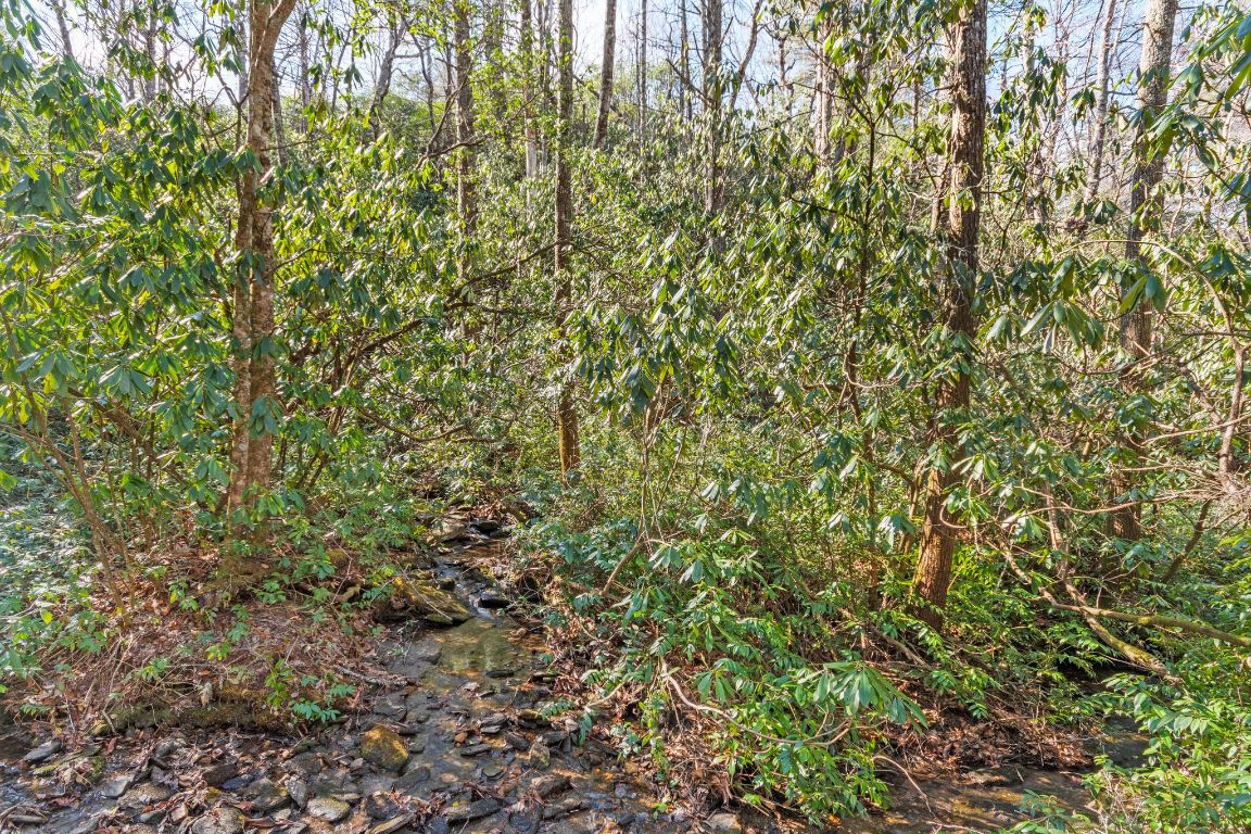 39 Pine Forest Court