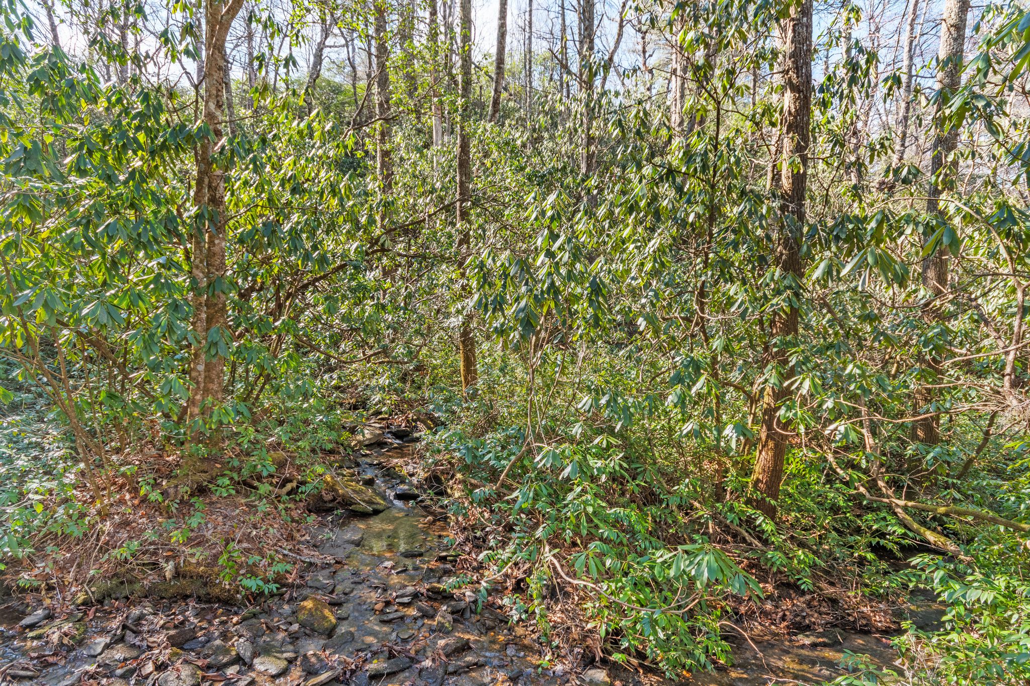 39 Pine Forest Court