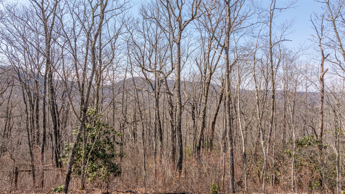 TBD Springwater Road