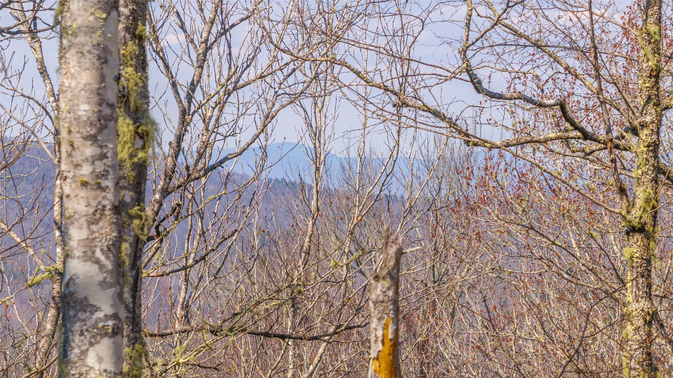 TBD Springwater Road