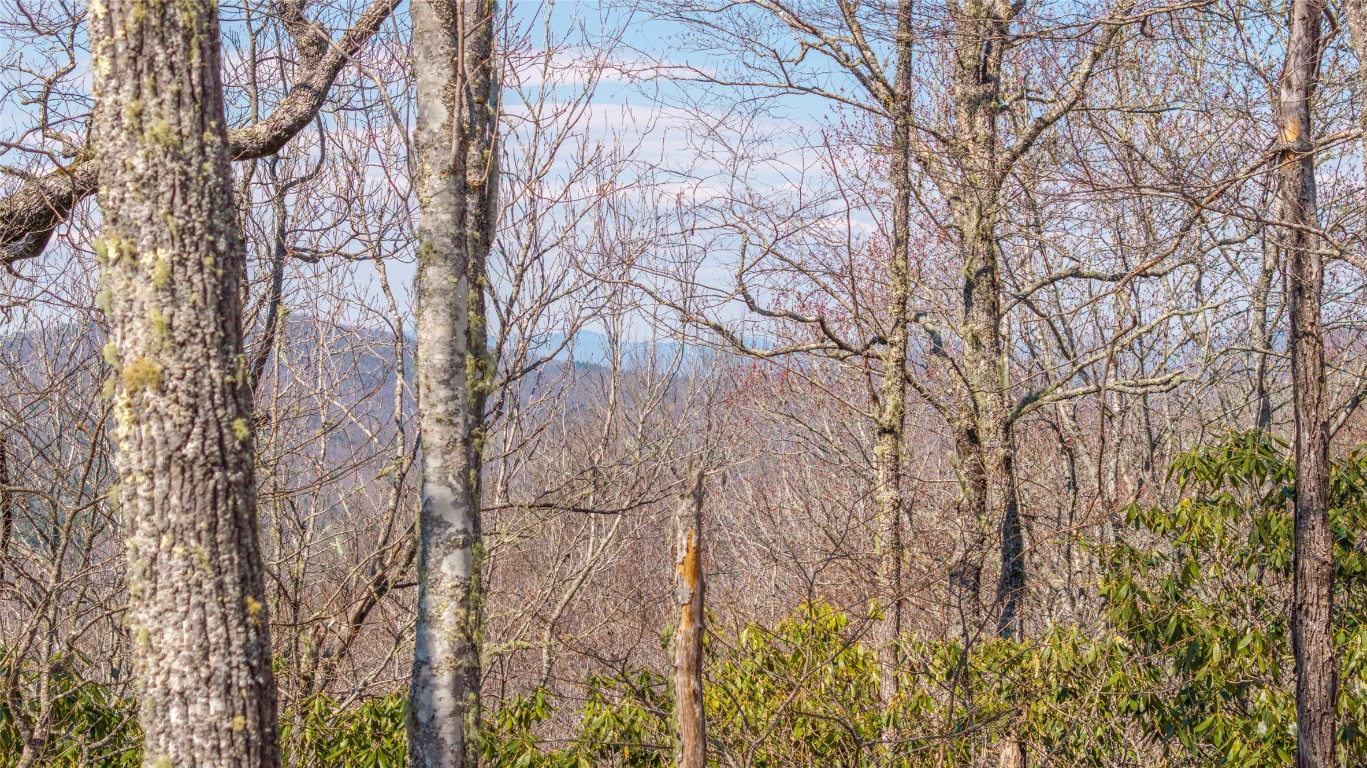 TBD Springwater Road