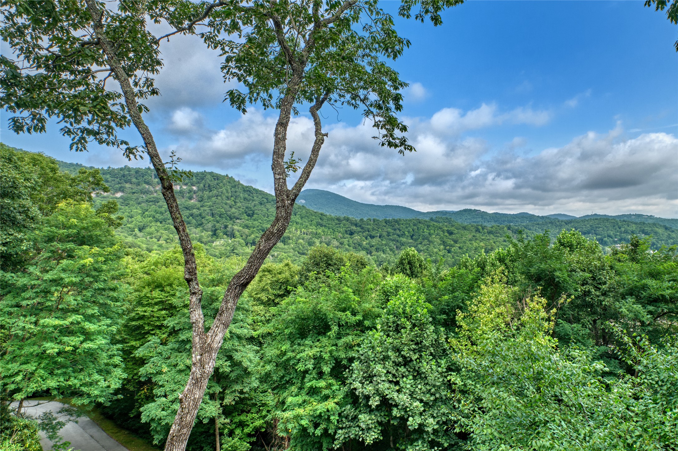 35C Napa Ridge Lane C