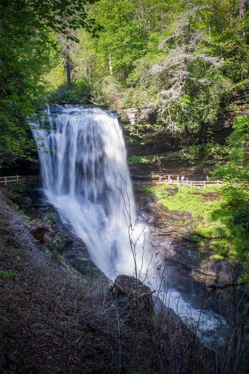 35C Napa Ridge Lane C