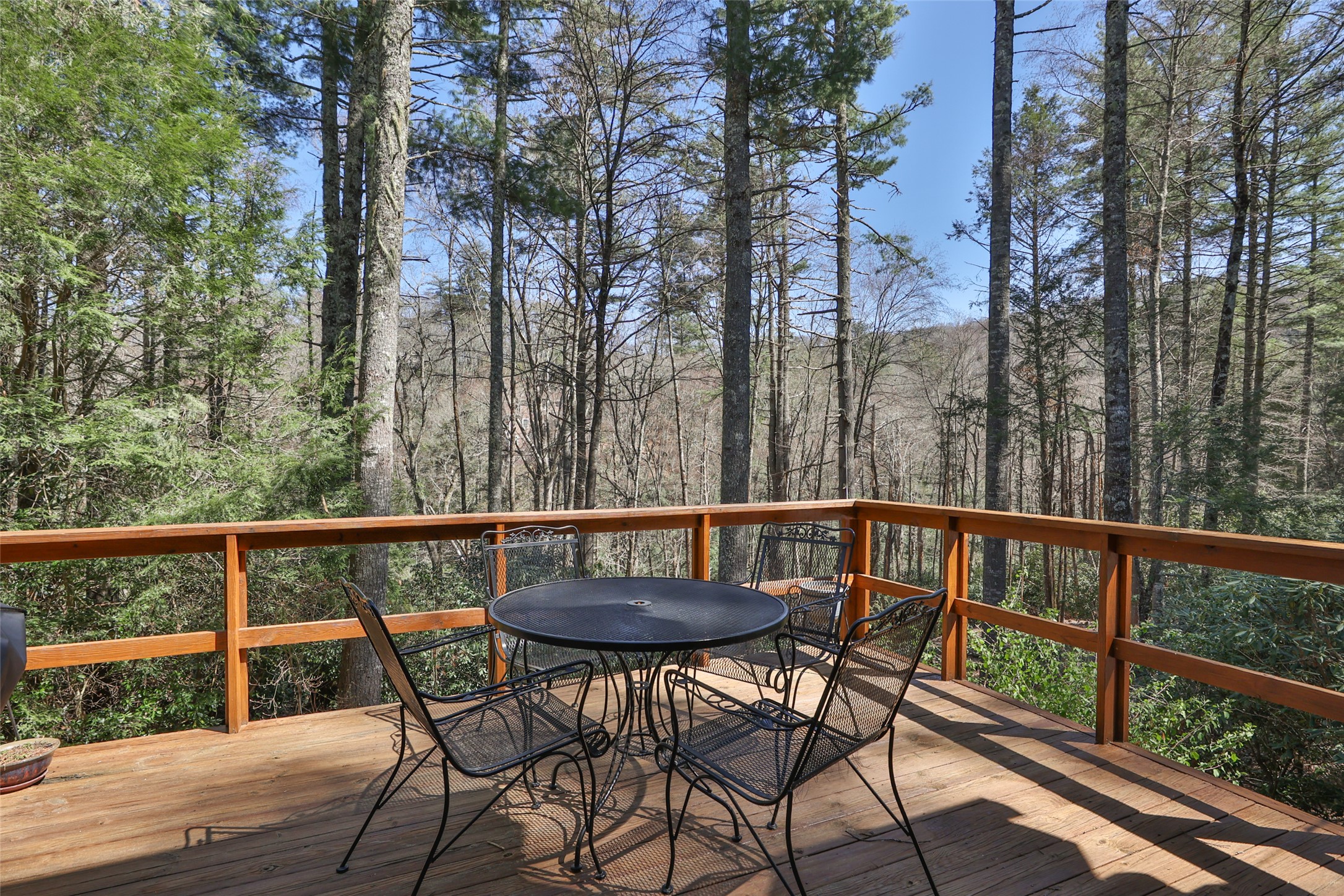 194 Big Pine Lane