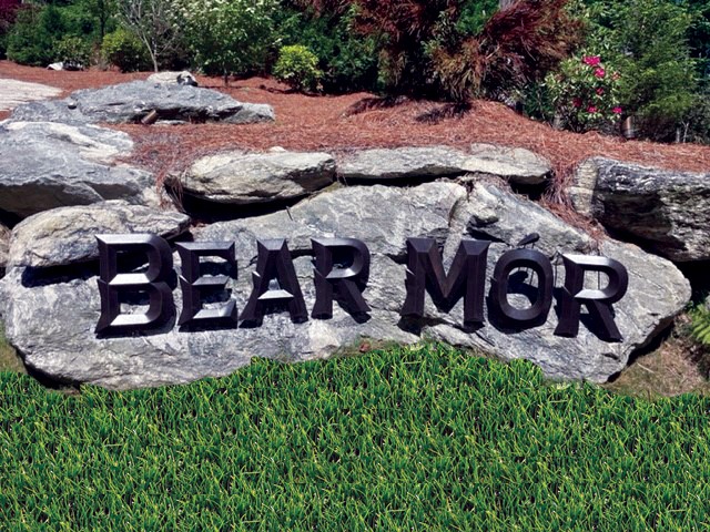 Lot 2 Bear Mor Ridge