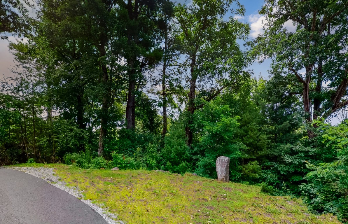 Lot 6 Bear Mor Ridge