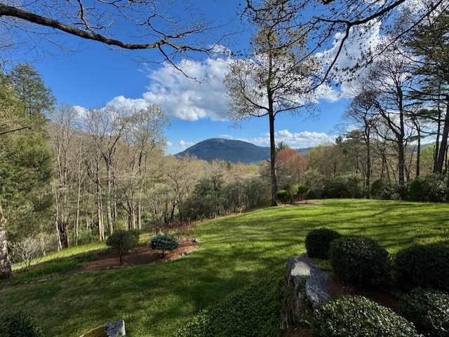 749 Stillmont Circle