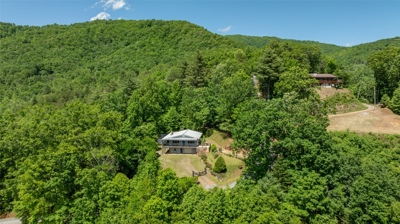 228 Mountain Laurel Drive