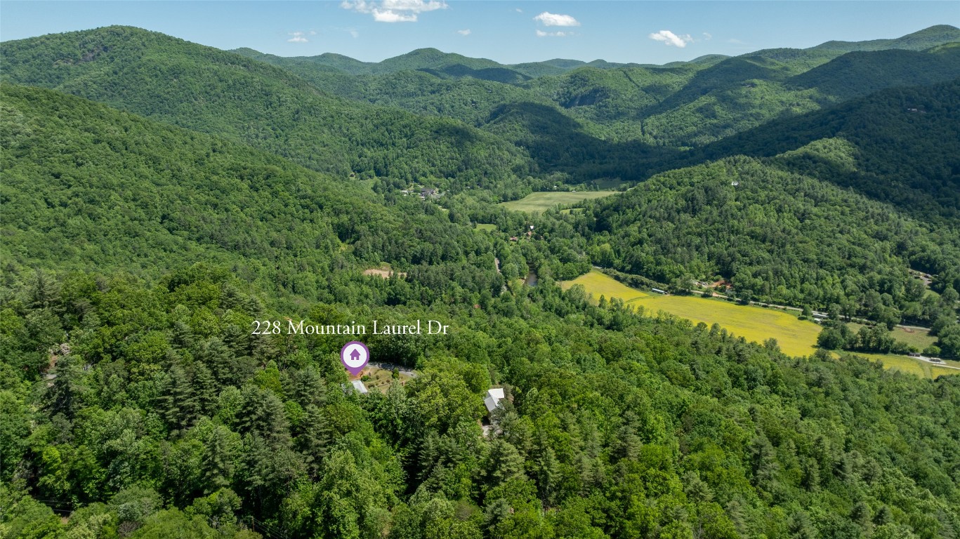 228 Mountain Laurel Drive