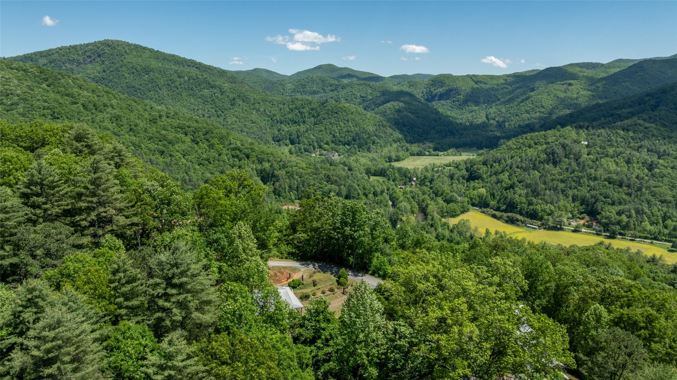 228 Mountain Laurel Drive