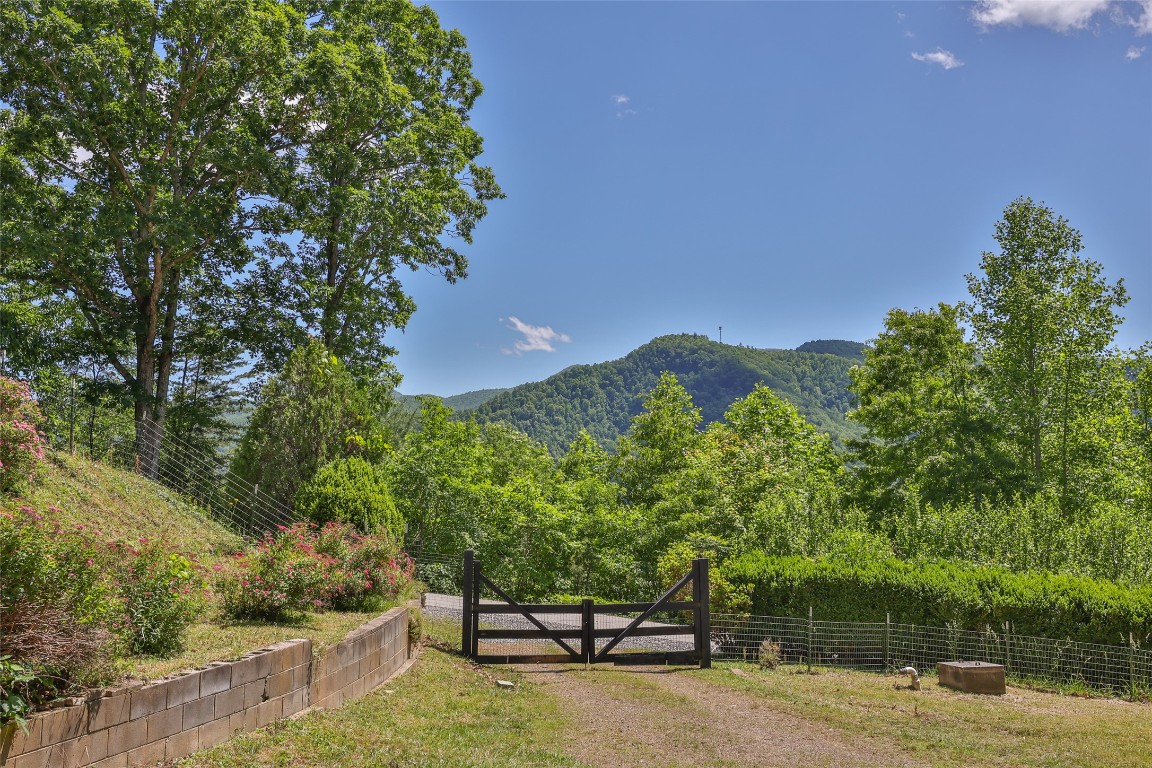 228 Mountain Laurel Drive