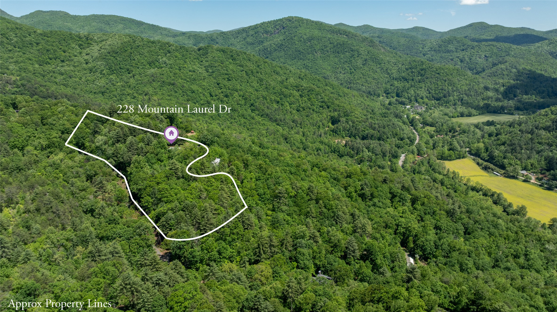 228 Mountain Laurel Drive